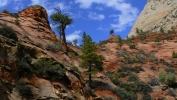 PICTURES/Leaving Zion on Mt. Carmel Hwy/t_Red Rock & White Dome7.JPG